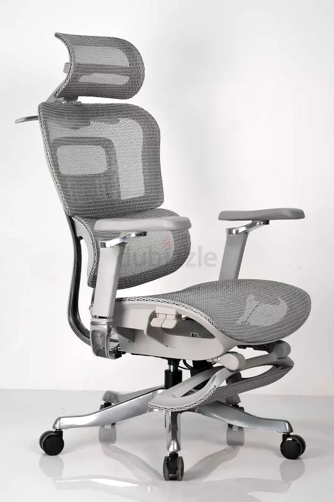 Executive ergonomic Office chair